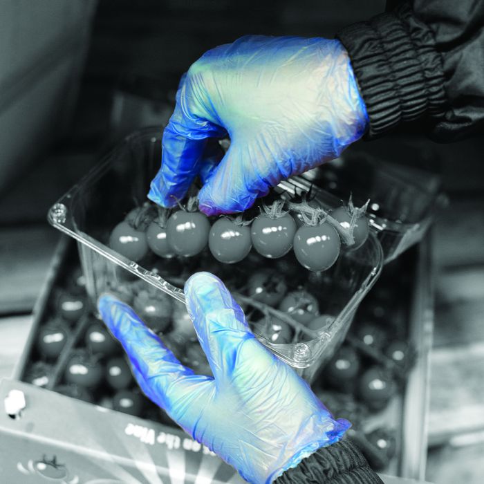 GD13 Bláir Vínyl Hanskar 100stk (4.5gr)